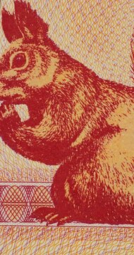 Stop Motion Macro Sequence of World Banknote Details. Banknote elements move through stop motion macro sequence highlighting varied currencies from around world. 
