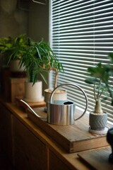 窓辺に並べた鉢植えの植物とステンレスのジョウロ © Takahiro