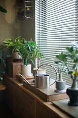 窓辺に並べた鉢植えの植物とステンレスのジョウロ © Takahiro