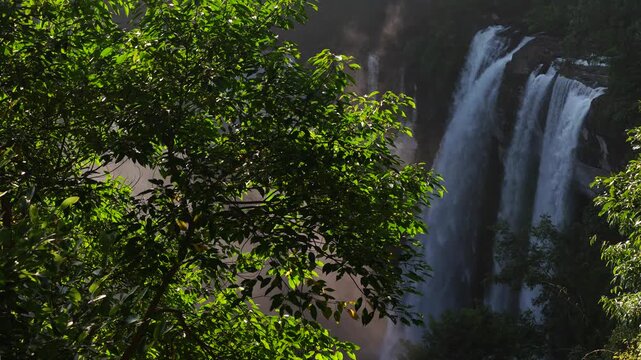 Distant Waterfall Framed by Sunlit Tropical Leaves