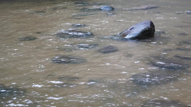 Clear Shallow Stream Flowing Over Natural Rocks