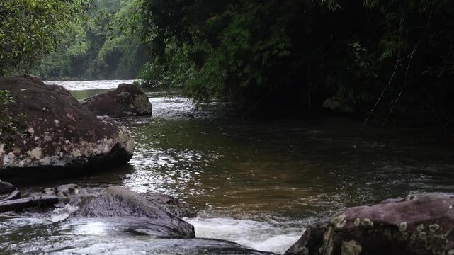 Calm Forest River Flowing Around Large Boulders
