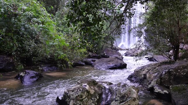 Forest Stream Leading Toward a Distant Waterfall