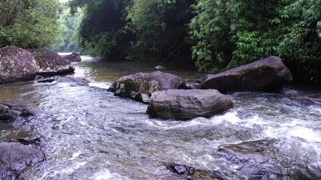 Rocky River Flowing Through Dense Green Rainforest