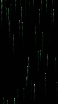 Green Digital Code Rain Falling on Black Background, Binary Data Stream Technology Animation, 4K Seamless Loop