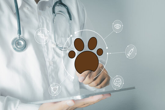 Veterinarian doctor holding a digital tablet with a brown paw print and medical icons graphic overlay. Concept of veterinary technology, animal health checkup, digital clinic, and pet care.