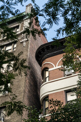 Leaf framed historic brick facades viewed from below © Look Around Studio