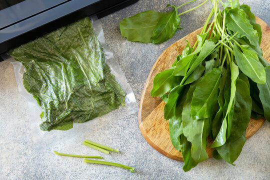 Fresh spinach and sorrel in vacuum-sealed food packaging