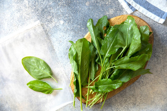 Fresh spinach and sorrel leaves on wooden board