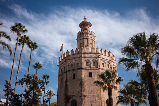 Torre del Oro landmark framed by palm trees in Seville