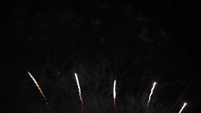 Amazing real beautiful colorful fireworks background on celebration night event for happy new year party or independence day, Abstract Multi color golden firework in the night sky