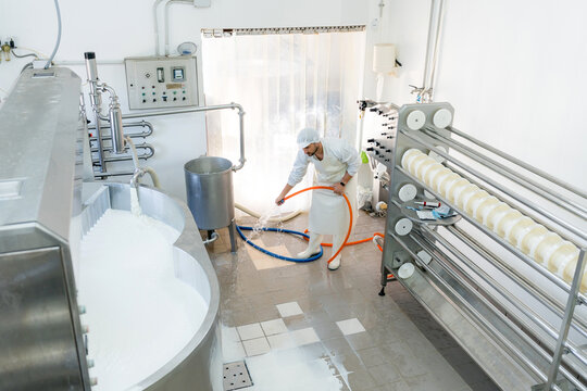 Cheesemaker clean milk spill in artisanal cheese factory