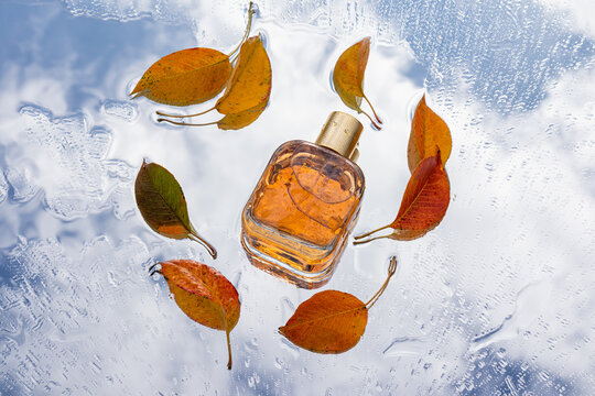 Perfume bottle with autumn leaf on raindrop glass background
