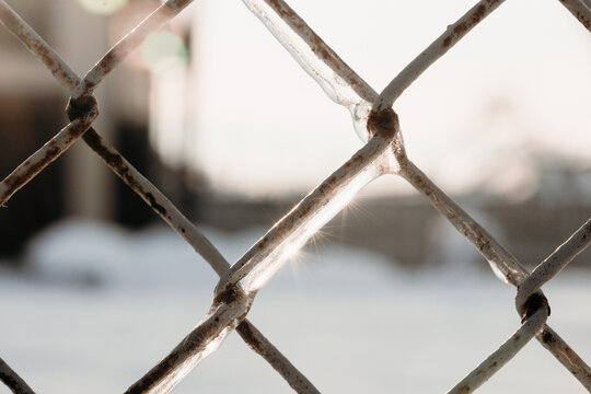 Frost-covered chain-link fence in soft winter sunlight
