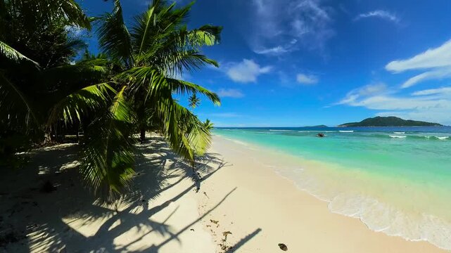 Tropical beach with white sand, lush palm trees, and turquoise ocean under a blue sky. Seychelles, La Digue.