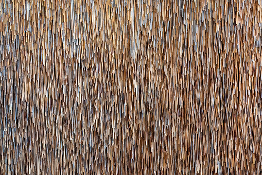 Natural thatched roof texture with dense dried straw and reed pattern