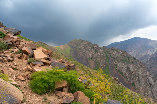 Rocky Chatkal mountain slope with orange boulders and yellow flowers under forming thunderstorm clouds on a summer day, Uzbekistan.