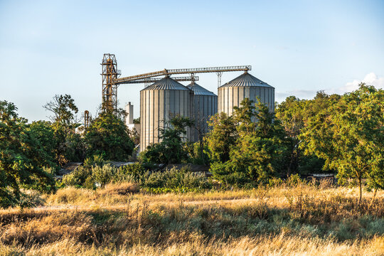 Grain silo and conveyor beside a rural field
