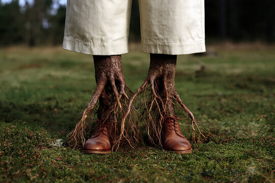 Surreal portrait of human roots merging with forest floor