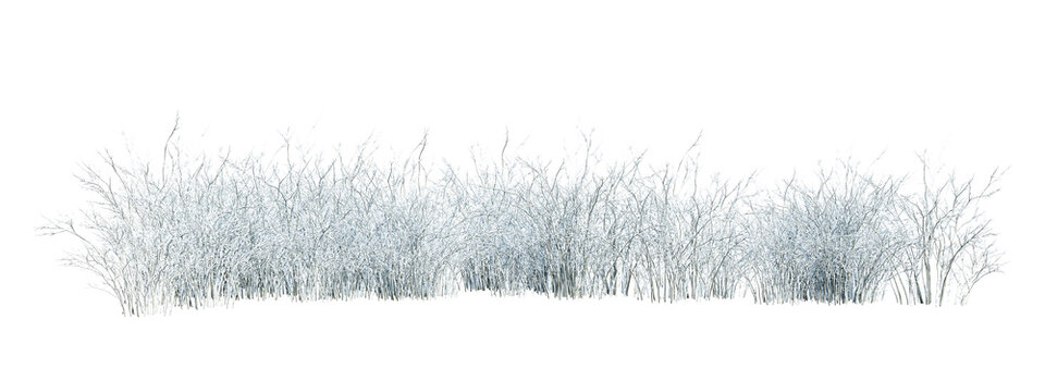 Low white snow covered winter bushes isolated on transparent background