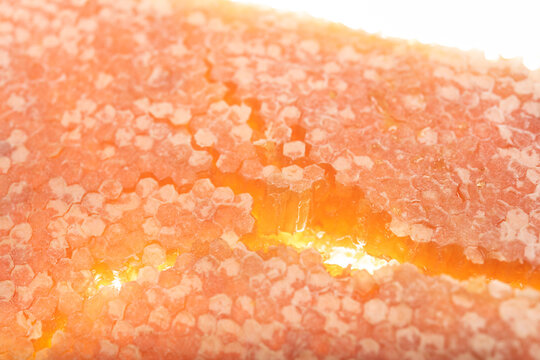 Broken Honeycomb Revealing Honey Filled Hexagonal Cells