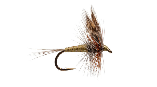 Traditional dry fly fishing lure, handcrafted artificial fly for trout fishing, vintage brown and tan feathered fishing hook for fly tying isolated PNG with Transparent Background