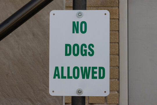 NO DOGS ALLOWED sign. Sign displaying dog restrictions and prohibition in a public area.
