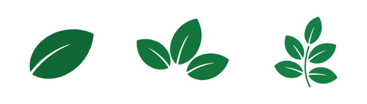 Green leaf sprout plant icon set illustrates growing sapling organic foliage designs.