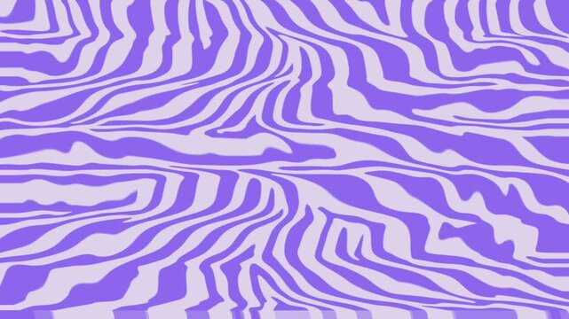 Abstract Purple Zebra Animal Print Motion Background Loop