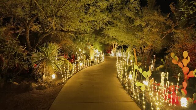 Winding path lined with glowing string lights among desert cacti at night