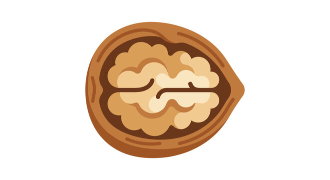 A cracked walnut with kernel exposed is depicted as a vector illustration on a white background