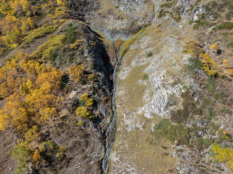 A small mountain stream trickling down a rocky ravine flanked by bright yellow autumn trees