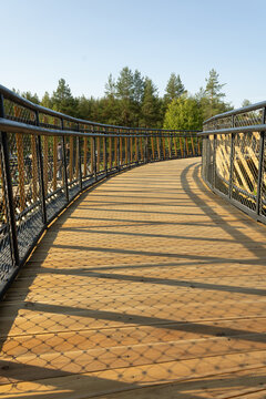Perspective view of a modern wooden boardwalk trail with metal railings and wire mesh in a pine forest. Shadows pattern on timber deck.