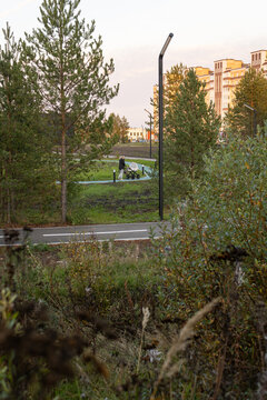 View through bushes of a woman pushing a baby stroller along a path in a new residential park at twilight with apartment buildings behind.