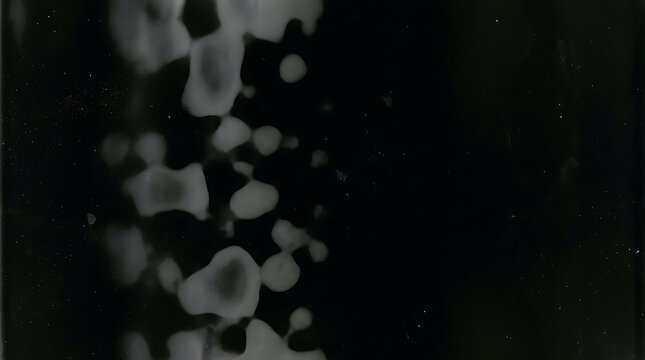 Abstract monochrome film grain texture with organic liquid emulsion light leaks