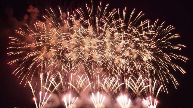 Exploding fireworks display lighting up dark night sky