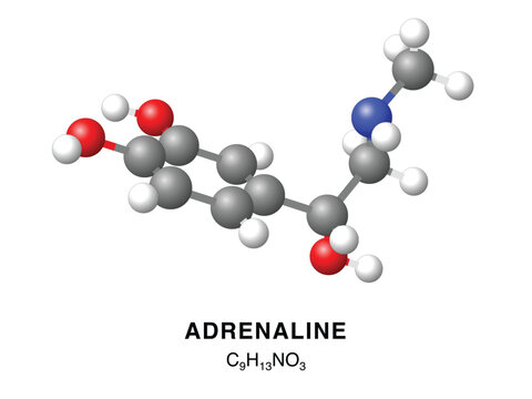 Adrenaline molecular structure 3d representation. Vector Illustration