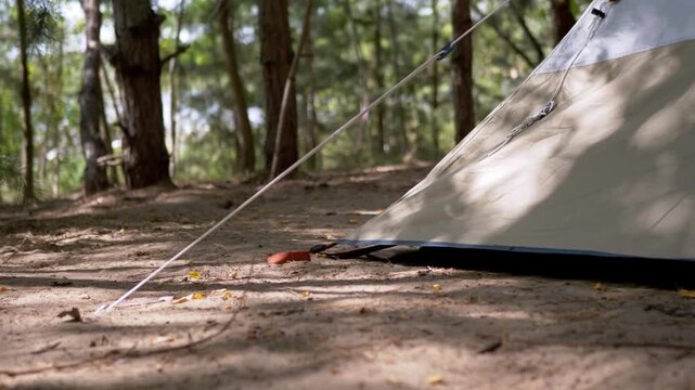 A camping tent is pitched on the forest ground with shallow depth of field. Natural sunlight filters through tall trees onto the fabric and sandy campsite soil.