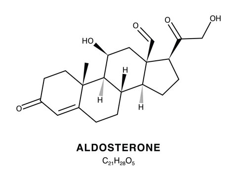 Skeletal chemical formula of Aldosterone, molecular structure.