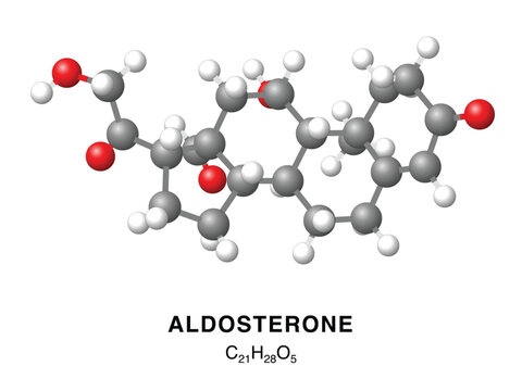 Aldosterone molecular structure 3d representation. Vector Illustration