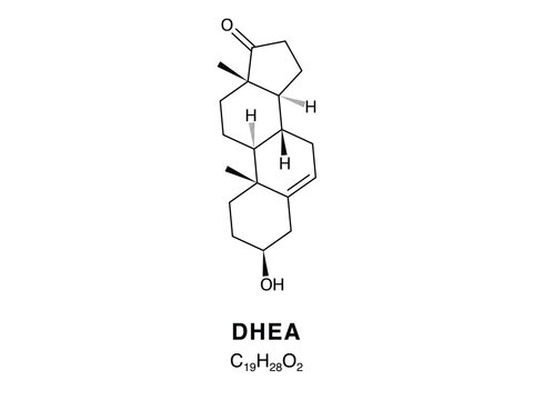 Skeletal chemical formula of DHEA, molecular structure.