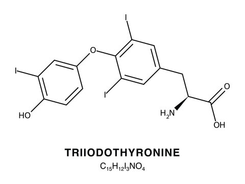 Skeletal chemical formula of Triiodothyronine, molecular structure.