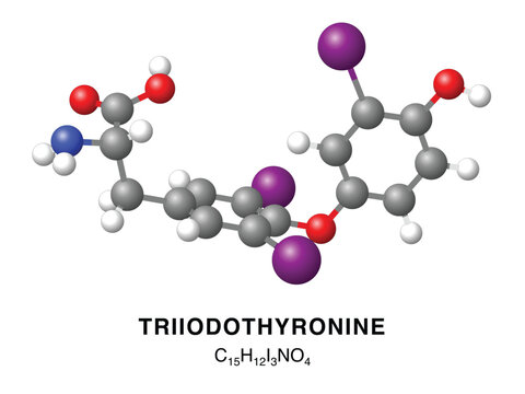 Triiodothyronine molecular structure 3d representation. Vector Illustration