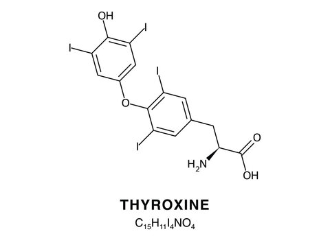 Skeletal chemical formula of Thyroxine, molecular structure.