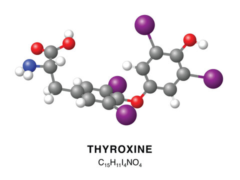 Thyroxine molecular structure 3d representation. Vector Illustration