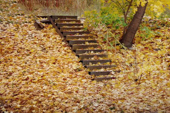An old metal staircase, strewn with yellow leaves. An autumn landscape. A staircase leading nowhere. Autumn in a city courtyard.