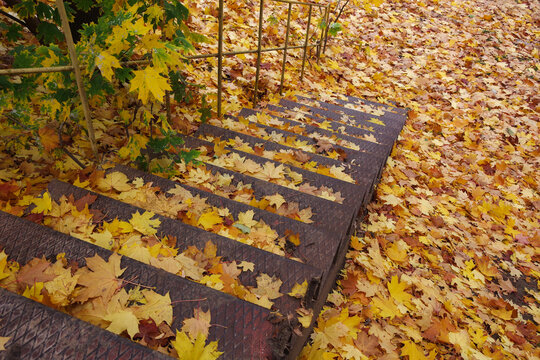 An old metal staircase, strewn with yellow leaves. An autumn landscape. A staircase leading nowhere. Autumn in a city courtyard.