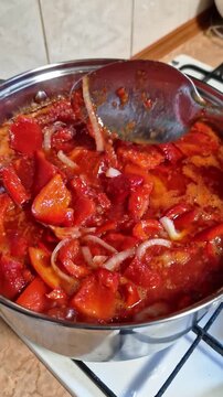 Cooking red bell pepper and sliced onion in steel pot close up. Metal spoon stirs simmering vegetable stew with rich sauce over domestic stove.