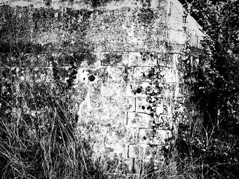 A high-contrast black and white artistic photograph showing the raw, weathered texture of an old stone wall overtaken by ivy and wild grass.