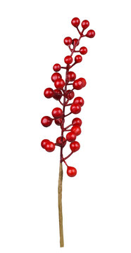 Artificial decorative twig with red berries isolated on white or transparent background